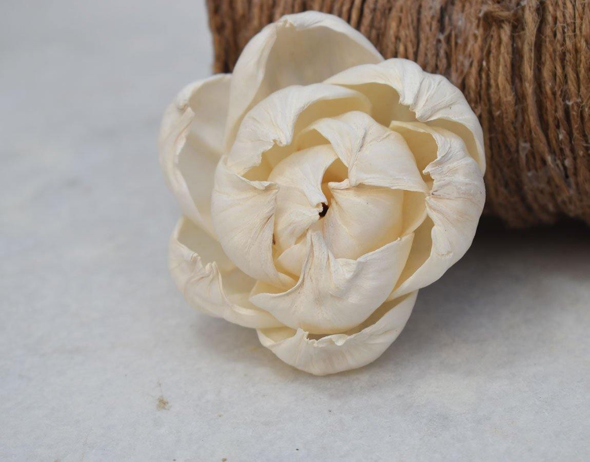 Peony Sola wood Flower - JOYNAGAR