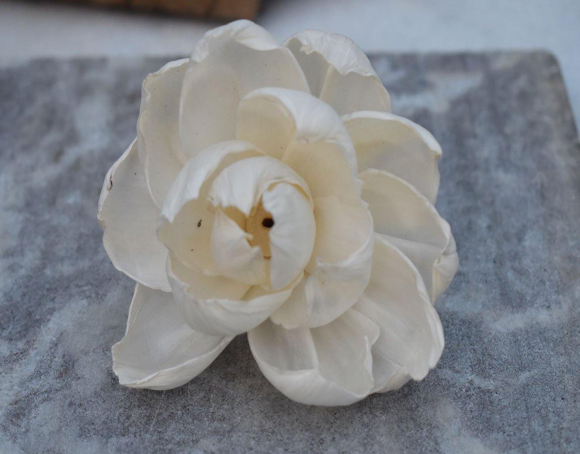 Open Peony Sola Wood Flower - JOYNAGAR