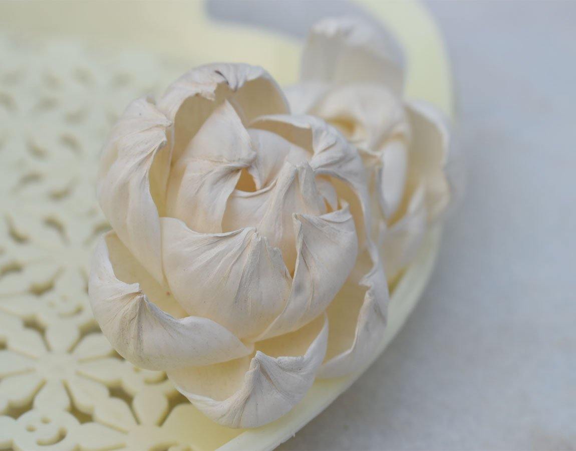 Peony Sola wood Flower - JOYNAGAR