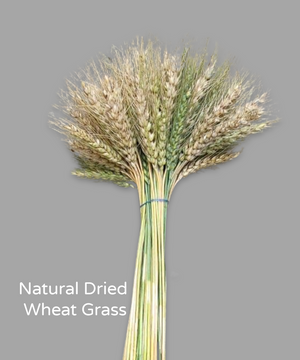 Decorative Dried Wheat Grass Joynagar Handicraft Homedecor color_natural