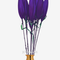 Decorative Silk Single Lotus Buds Flower Stick Joynagar Handicraft Artificial Flowers color_purple