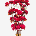 Sola Beauty Rose Flower Stick Joynagar Handicraft Artificial Flowers color_red