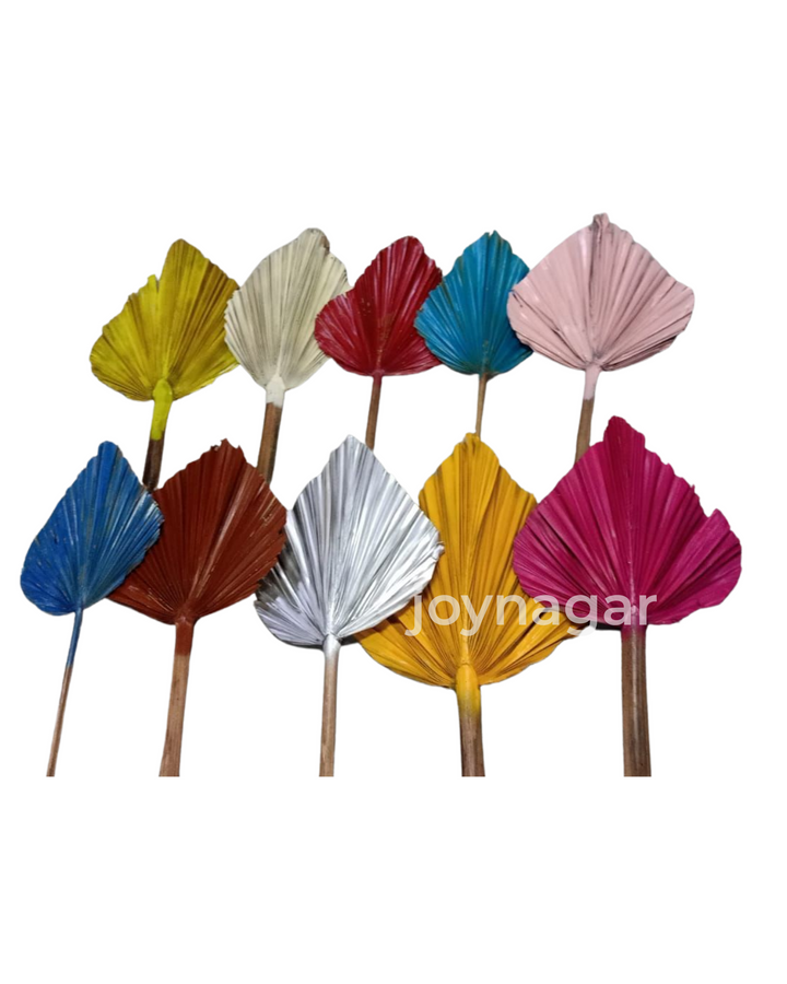 Natural Dried Palm Leaf Spear 10 Pcs