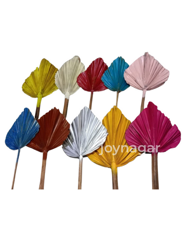 Decorative Dried Palm Leaf Spear Joynagar Handicraft Handmade Natural Leaf color_random