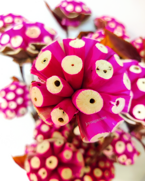 Decorative Burl Sola Wood Flower Stick Joynagar Handicraft Artificial Flowers color_pink