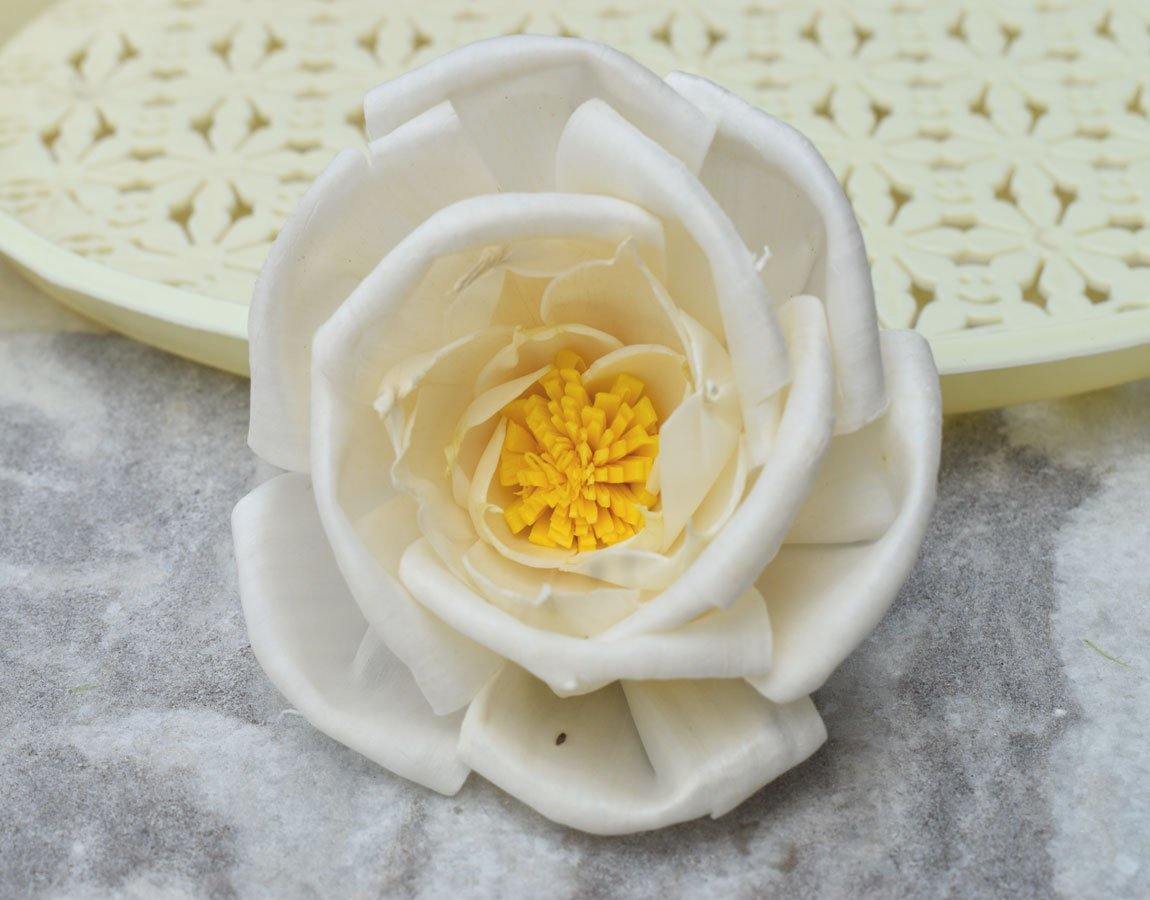 Pollen Bird Rose Sola Wood Flower - JOYNAGAR