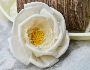 Pollen Bird Rose Sola Wood Flower - JOYNAGAR