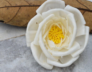 Pollen Bird Rose Sola Wood Flower - JOYNAGAR