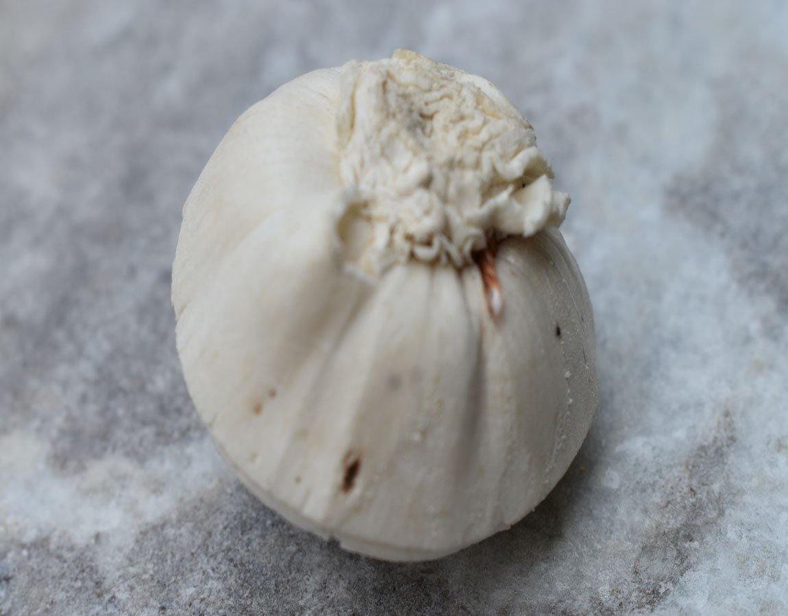 Poppy Sola Wood Flower - JOYNAGAR