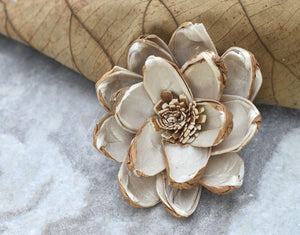 Senna Sola Wood Skin Flower - JOYNAGAR