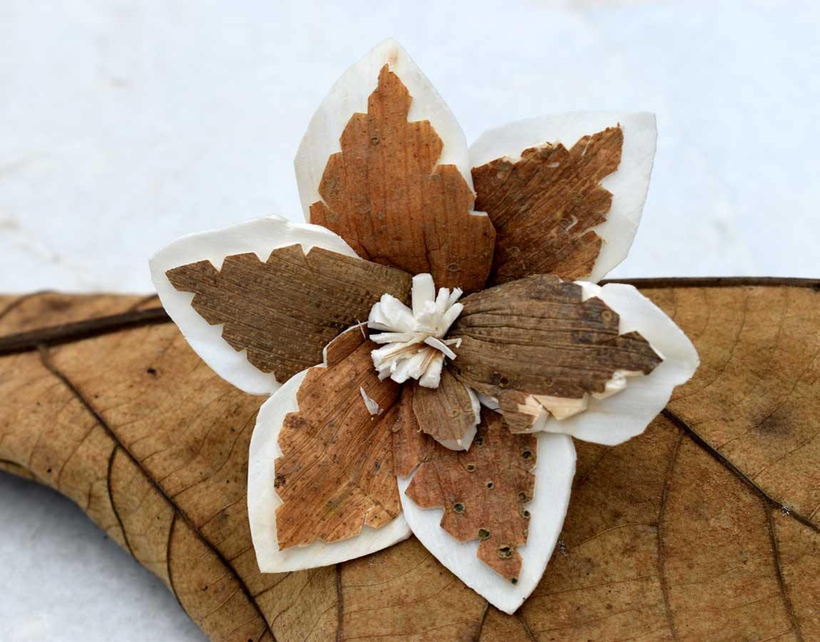 Sky Star Sola Wood Skin Flower - JOYNAGAR