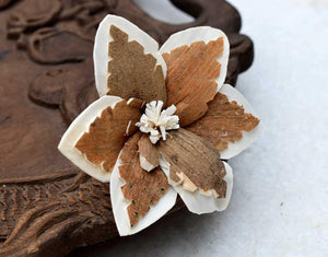 Sky Star Sola Wood Skin Flower - JOYNAGAR