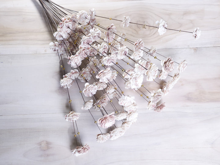 Coco Belle Moti Stick