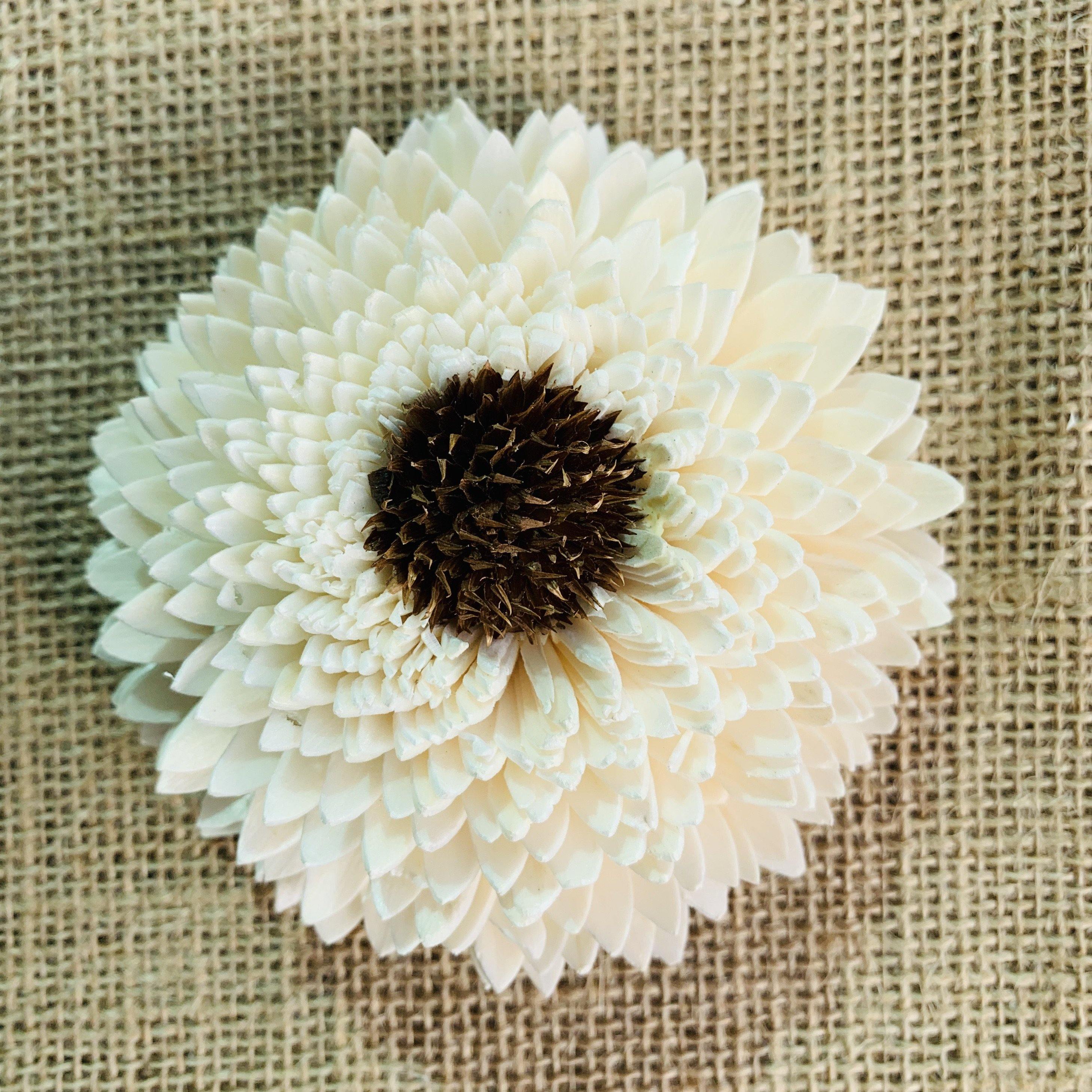 Sun Zinnia Sola Wood Flower - JOYNAGAR