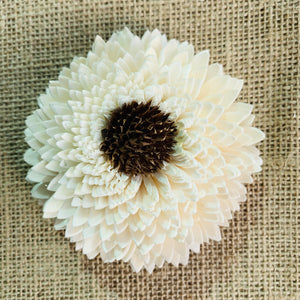 Sun Zinnia Sola Wood Flower - JOYNAGAR