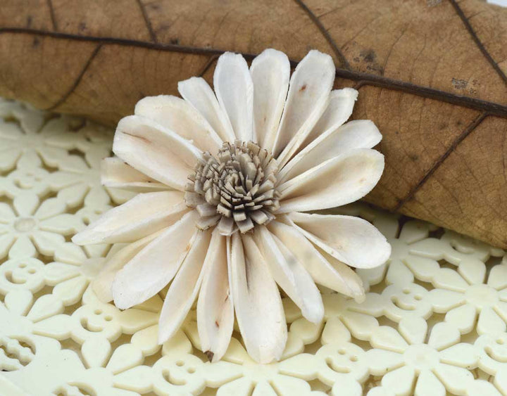 Sunflower Sola Wood Flower - JOYNAGAR