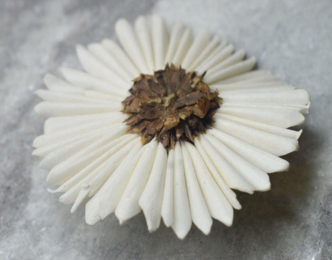 Sunflower Sola Wood Flower - JOYNAGAR