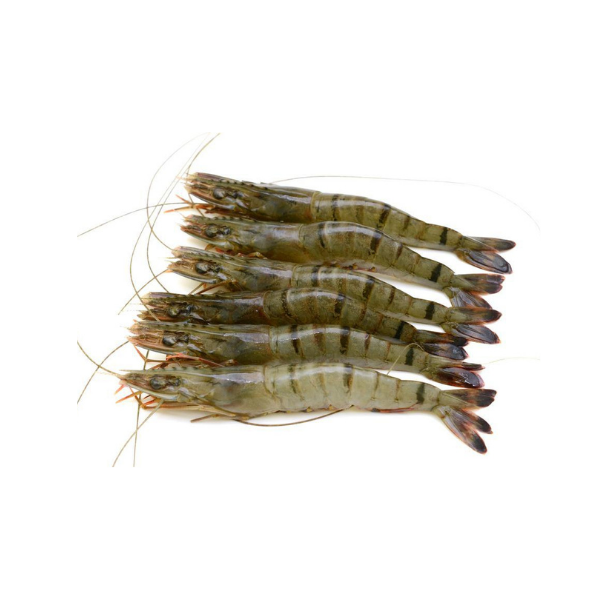 Fresh C Grade Sundarban Tiger Prawn/ Shrimp Unpeeled Frozen