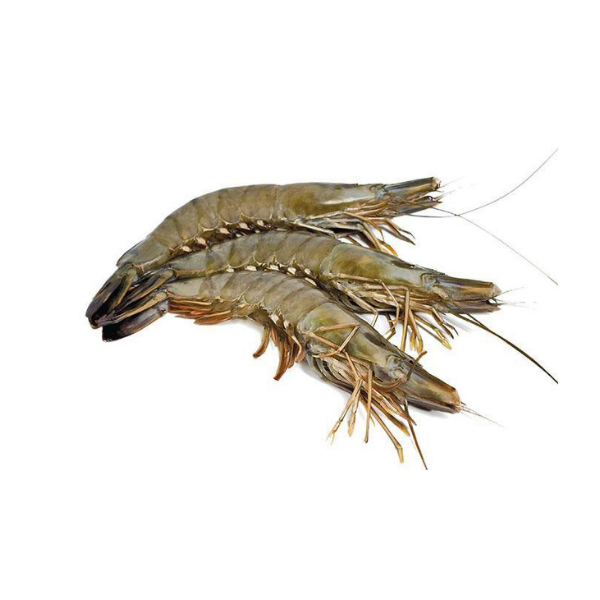 Fresh C Grade Sundarban Tiger Prawn/ Shrimp Unpeeled Frozen-online joynagar