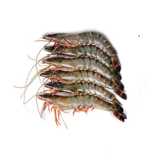 Fresh B Grade Sundarban Tiger Prawn/ Shrimp Unpeeled Frozen