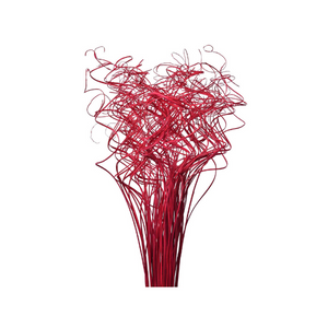 Curly Ting Ting Decoration Stick Filler Joynagar Handicraft color_red