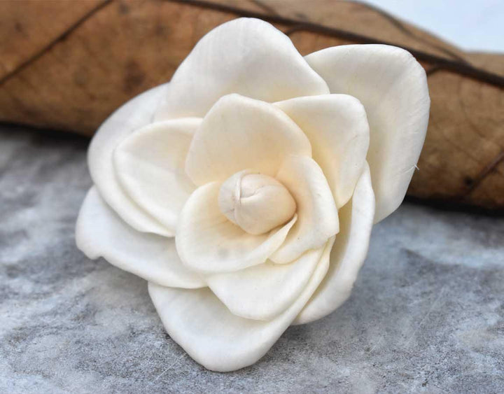 Triangle Beauty Sola Wood Flower - JOYNAGAR