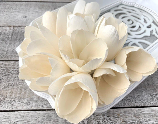 Tulip Sola Wood Flower - JOYNAGAR