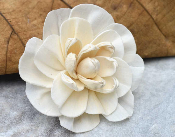 Vanila Sky Sola Wood Flower - JOYNAGAR