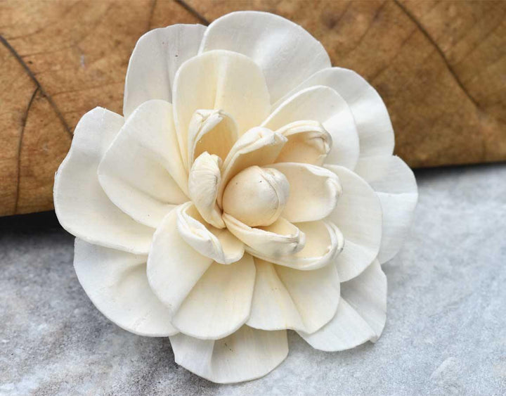 Vanila Sky Sola Wood Flower - JOYNAGAR