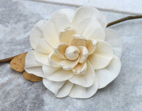 Vanila Sky Sola Wood Flower - JOYNAGAR