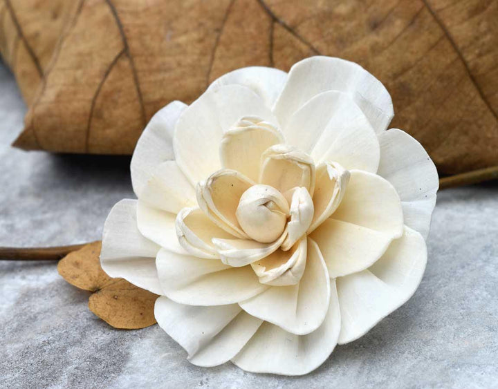 Vanila Sky Sola Wood Flower - JOYNAGAR