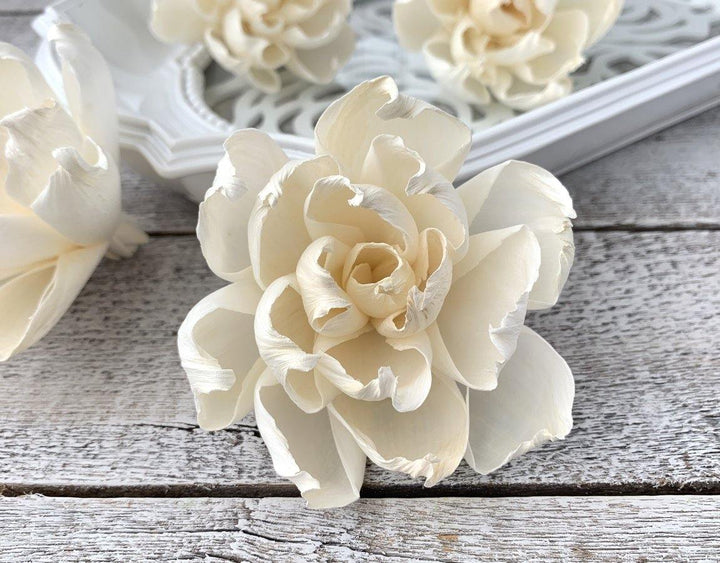 Whisper Sola Wood Flower - JOYNAGAR