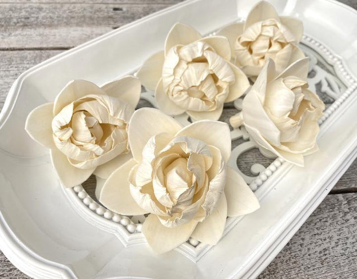 White Pearl Sola Wood Flower - JOYNAGAR