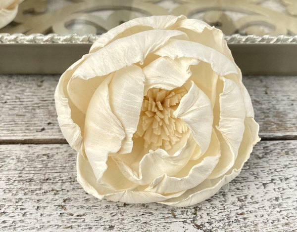 White Peony Sola Wood Flower - JOYNAGAR